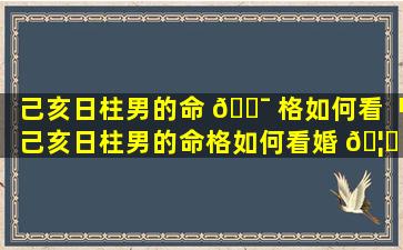 己亥日柱男的命 🐯 格如何看「己亥日柱男的命格如何看婚 🦁 姻」